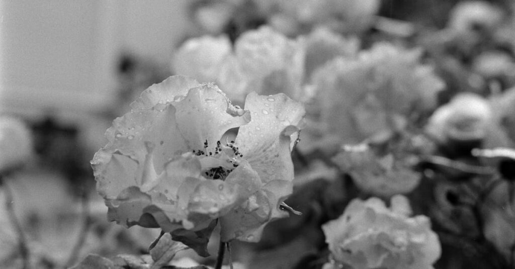 違法リスクが高い退職代行業者の特徴