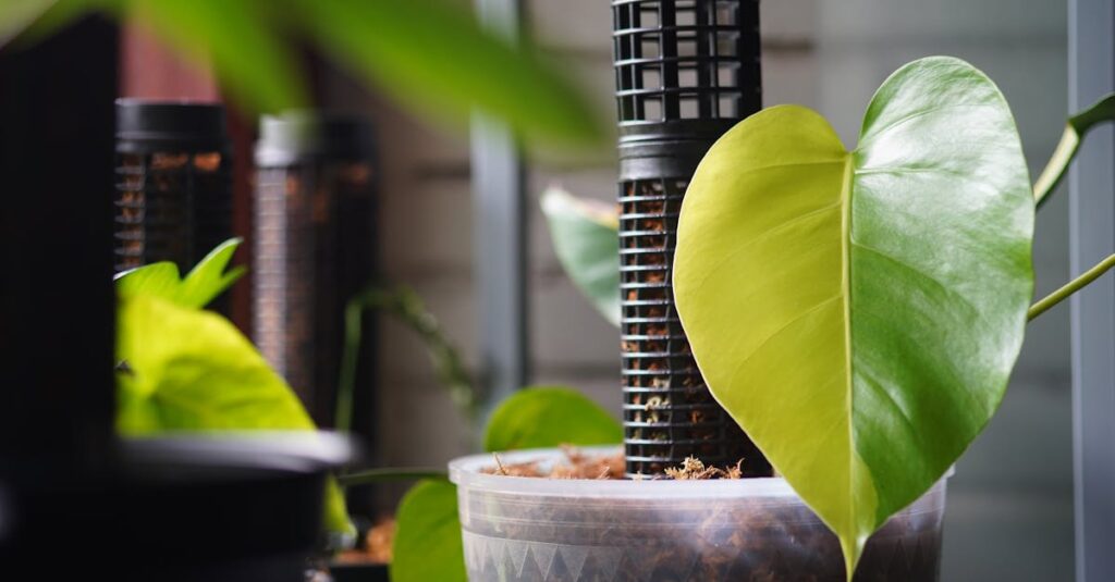 退職代行が向いている人と向いていない人を見極めるイメージ