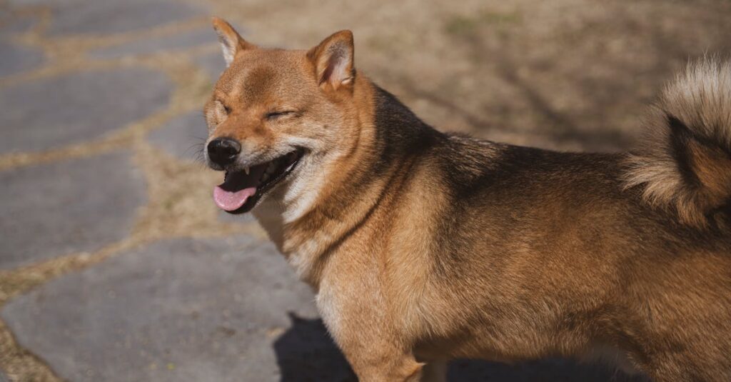退職代行のトラブル不安を整理して安心につなげるイメージ